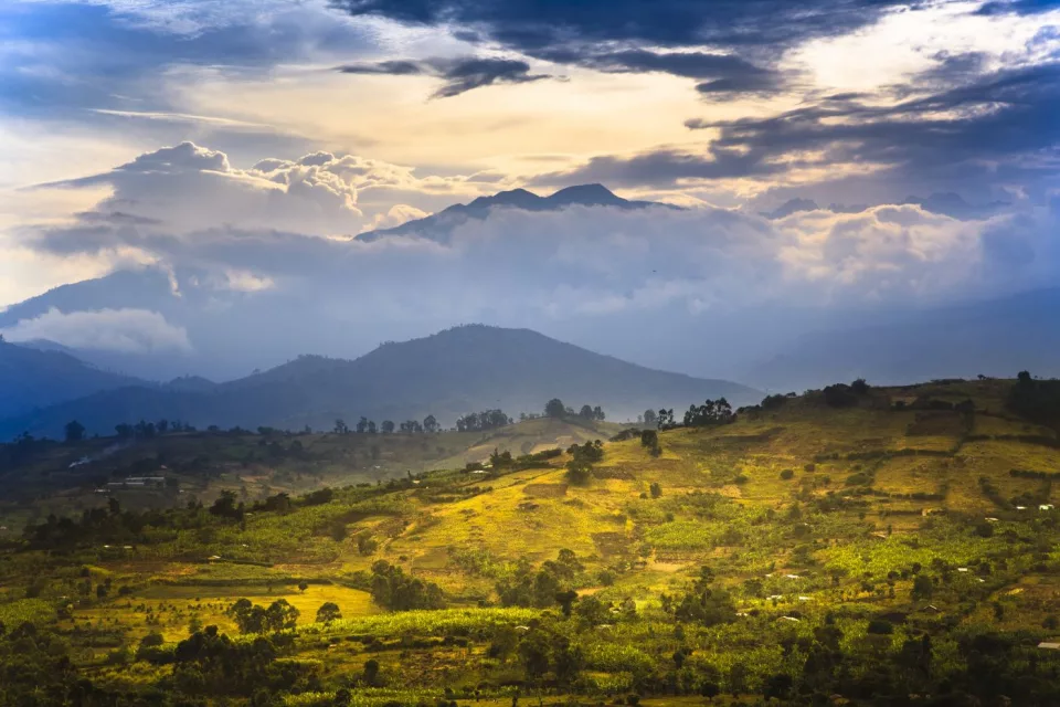 Uganda: nel regno dei primati